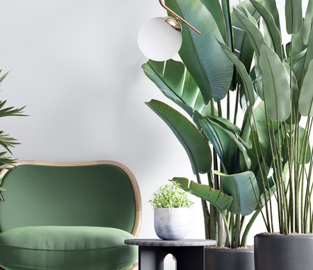 HEXE FIRA GOLD Lampa sufitowa żyrandol E27 metal szkło 1 x 60W 0785